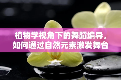 植物学视角下的舞蹈编导，如何通过自然元素激发舞台生命力？