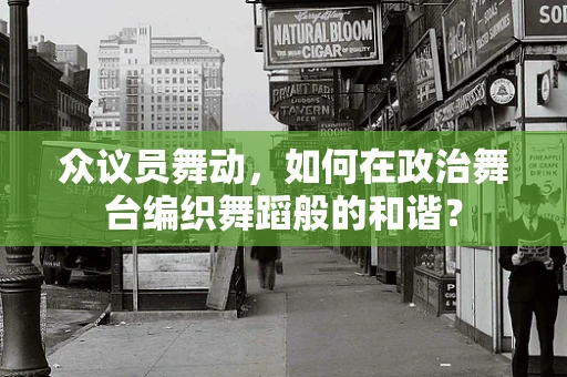众议员舞动，如何在政治舞台编织舞蹈般的和谐？