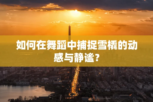 如何在舞蹈中捕捉雪橇的动感与静谧？