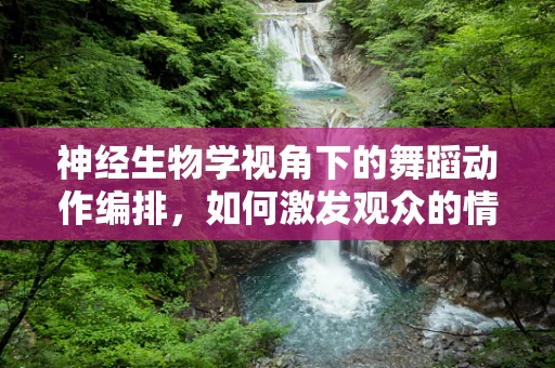 神经生物学视角下的舞蹈动作编排，如何激发观众的情感共鸣？