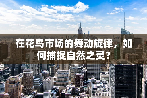 在花鸟市场的舞动旋律，如何捕捉自然之灵？
