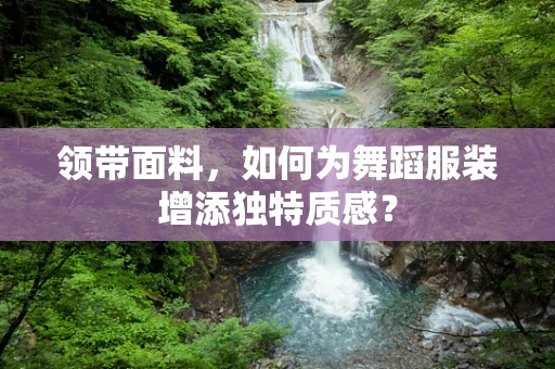 领带面料，如何为舞蹈服装增添独特质感？