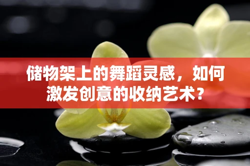 储物架上的舞蹈灵感，如何激发创意的收纳艺术？