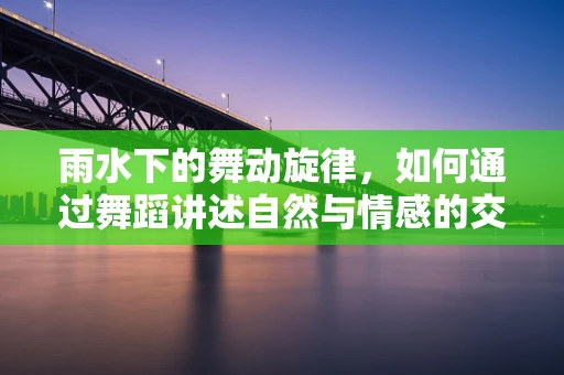 雨水下的舞动旋律，如何通过舞蹈讲述自然与情感的交融？
