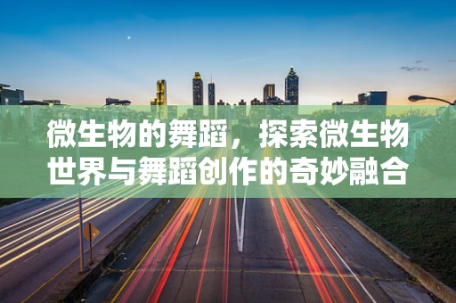 微生物的舞蹈，探索微生物世界与舞蹈创作的奇妙融合