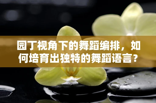 园丁视角下的舞蹈编排，如何培育出独特的舞蹈语言？