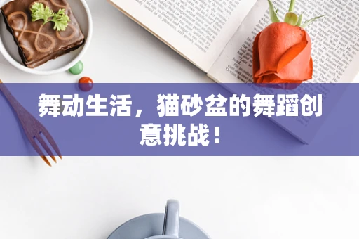 舞动生活，猫砂盆的舞蹈创意挑战！