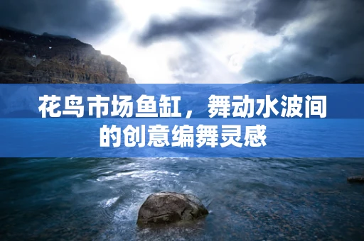 花鸟市场鱼缸，舞动水波间的创意编舞灵感