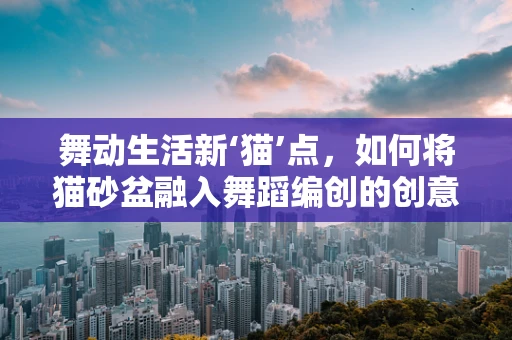 舞动生活新‘猫’点，如何将猫砂盆融入舞蹈编创的创意元素？