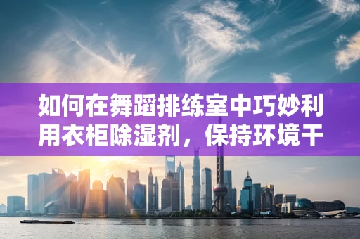如何在舞蹈排练室中巧妙利用衣柜除湿剂，保持环境干爽？