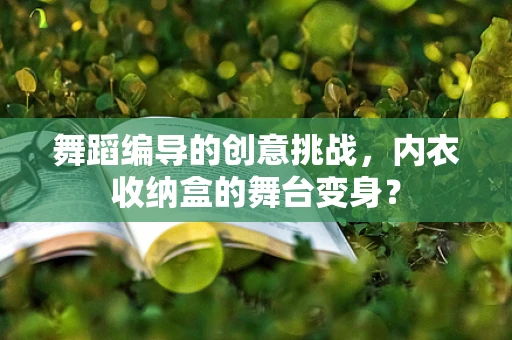 舞蹈编导的创意挑战，内衣收纳盒的舞台变身？