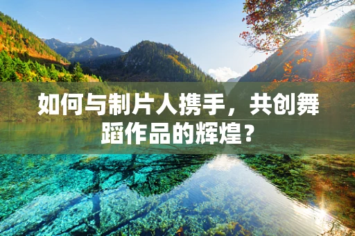 如何与制片人携手，共创舞蹈作品的辉煌？