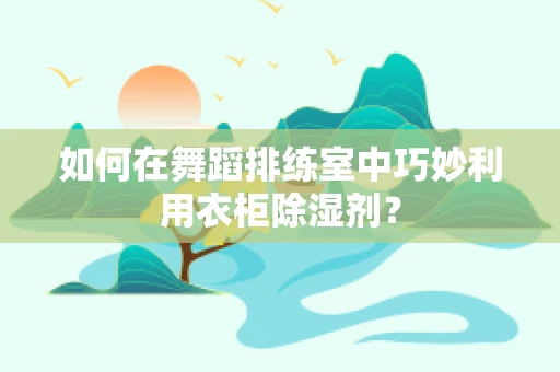 如何在舞蹈排练室中巧妙利用衣柜除湿剂？