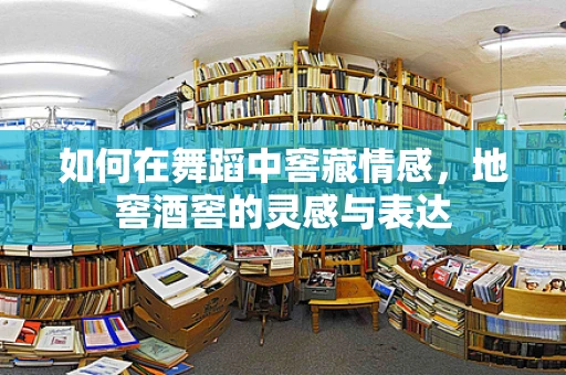 如何在舞蹈中窖藏情感，地窖酒窖的灵感与表达