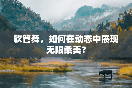 软管舞，如何在动态中展现无限柔美？