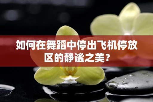 如何在舞蹈中停出飞机停放区的静谧之美？
