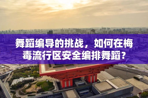 舞蹈编导的挑战，如何在梅毒流行区安全编排舞蹈？