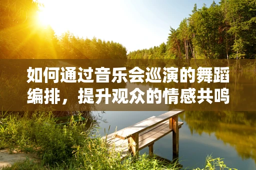如何通过音乐会巡演的舞蹈编排，提升观众的情感共鸣？