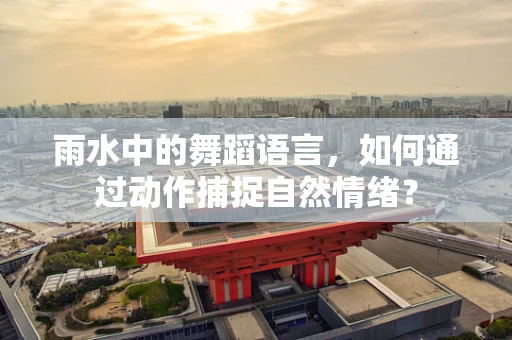 雨水中的舞蹈语言，如何通过动作捕捉自然情绪？