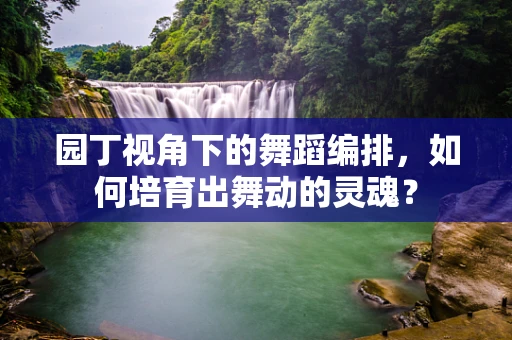 园丁视角下的舞蹈编排，如何培育出舞动的灵魂？