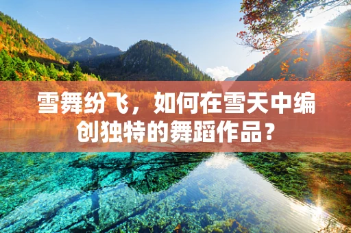 雪舞纷飞，如何在雪天中编创独特的舞蹈作品？