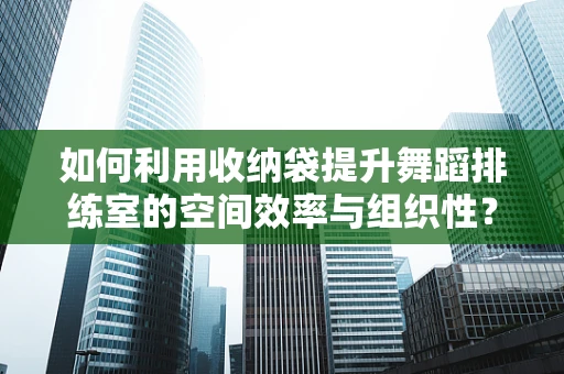 如何利用收纳袋提升舞蹈排练室的空间效率与组织性？