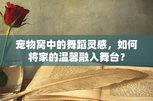 宠物窝中的舞蹈灵感，如何将家的温馨融入舞台？