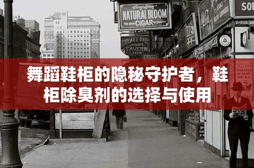舞蹈鞋柜的隐秘守护者，鞋柜除臭剂的选择与使用