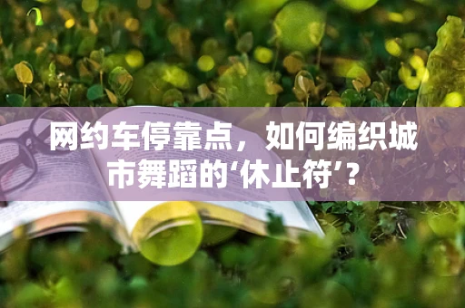 网约车停靠点，如何编织城市舞蹈的‘休止符’？