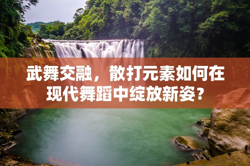 武舞交融，散打元素如何在现代舞蹈中绽放新姿？