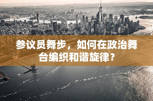 参议员舞步，如何在政治舞台编织和谐旋律？