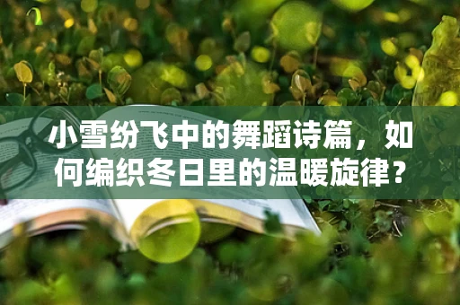 小雪纷飞中的舞蹈诗篇，如何编织冬日里的温暖旋律？