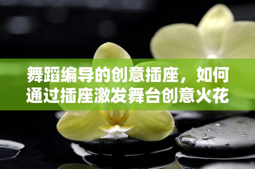 舞蹈编导的创意插座，如何通过插座激发舞台创意火花？