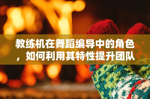 教练机在舞蹈编导中的角色，如何利用其特性提升团队训练效率？