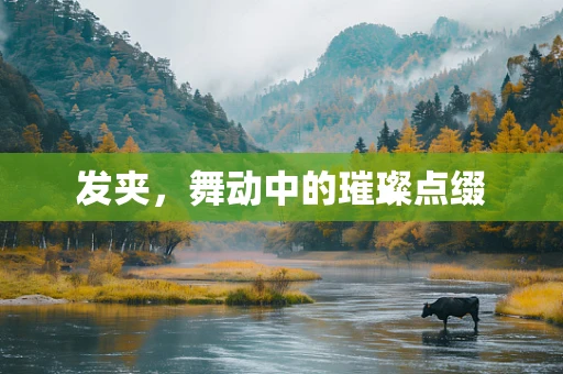 发夹，舞动中的璀璨点缀