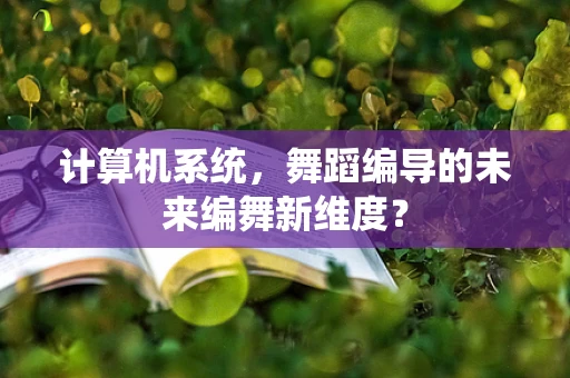 计算机系统，舞蹈编导的未来编舞新维度？