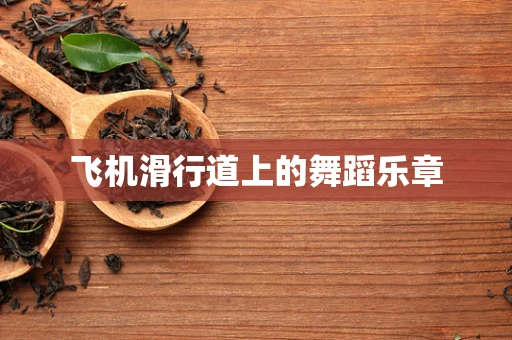 飞机滑行道上的舞蹈乐章