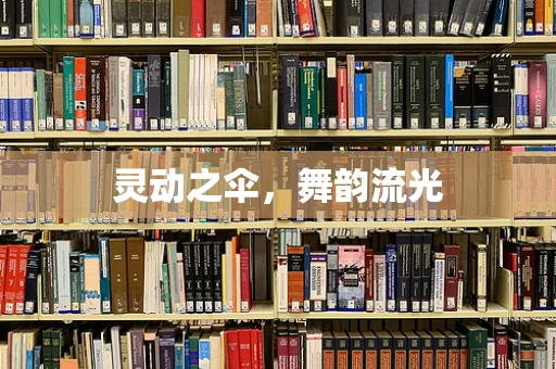 灵动之伞，舞韵流光