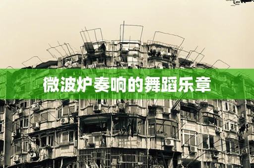 微波炉奏响的舞蹈乐章