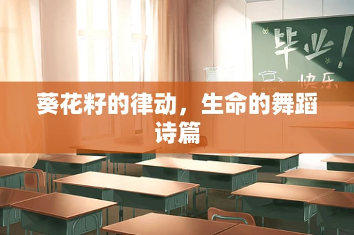 葵花籽的律动，生命的舞蹈诗篇