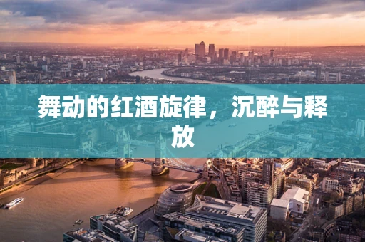 舞动的红酒旋律，沉醉与释放