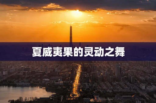 夏威夷果的灵动之舞