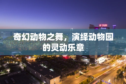 奇幻动物之舞，演绎动物园的灵动乐章