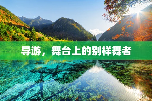 导游，舞台上的别样舞者