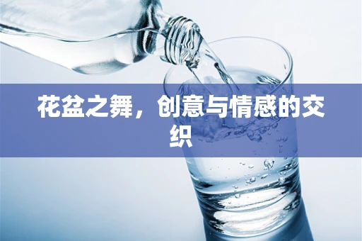 花盆之舞，创意与情感的交织