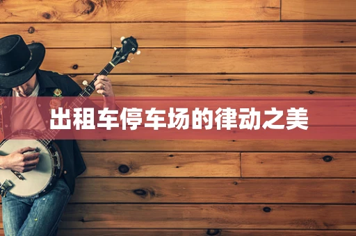 出租车停车场的律动之美