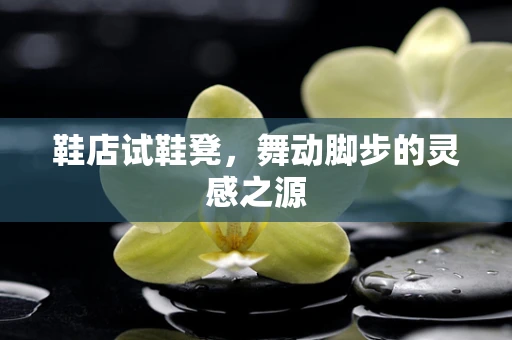 鞋店试鞋凳，舞动脚步的灵感之源