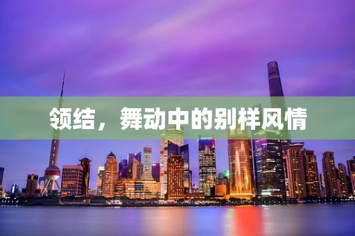 领结，舞动中的别样风情