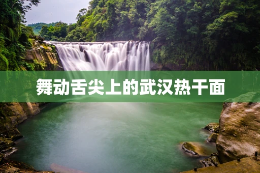 舞动舌尖上的武汉热干面