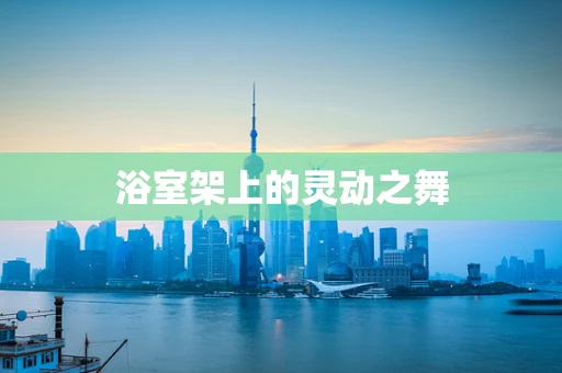 浴室架上的灵动之舞